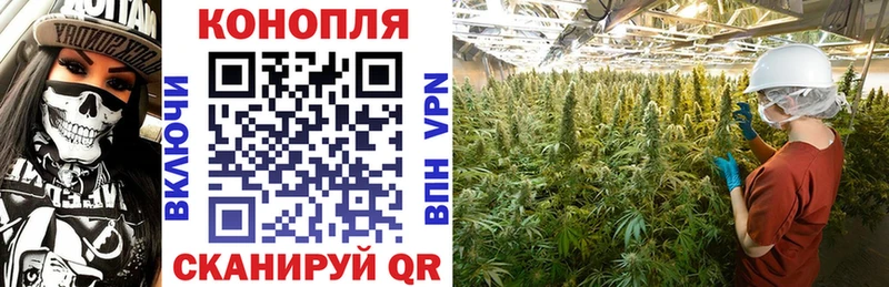 хочу наркоту Ессентукская Каннабис THC 21%